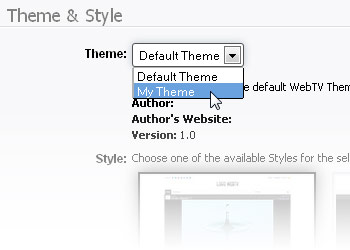 Theme (appearance) selection