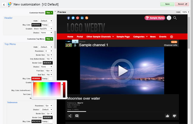 WS.WebTV Styler: Customization interface