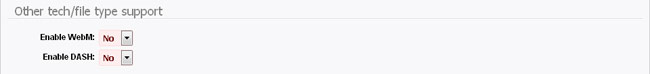 Other tech/file type support: MPEG-DASH, WebM