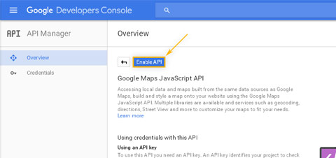 Google Developers Console: API Manager / Enable Google Maps Javascript API