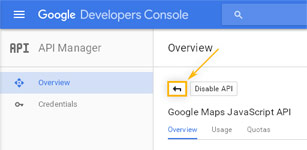 Google Developers Console: Return to API Manager Overview