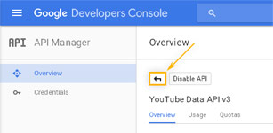 Google Developers Console: Return to API Manager Overview