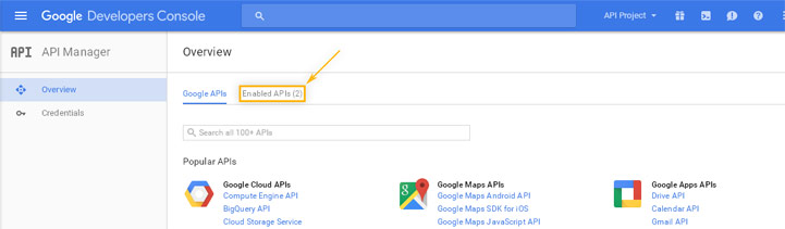 Google Developers Console: API Manager / Overview