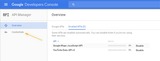 Google Developers Console: API Manager / Enabled APIs