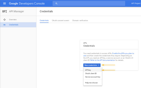 Google Developers Console: API Manager / Credentials