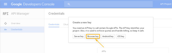 Google Developers Console: API Manager / Create new key