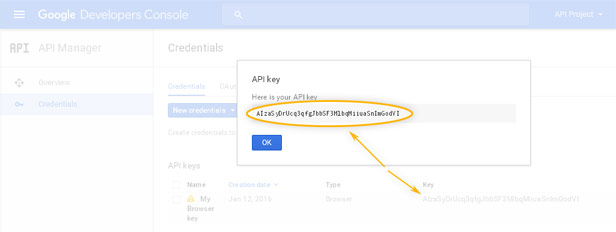 Google Developers Console: API Manager / Create new key - Done